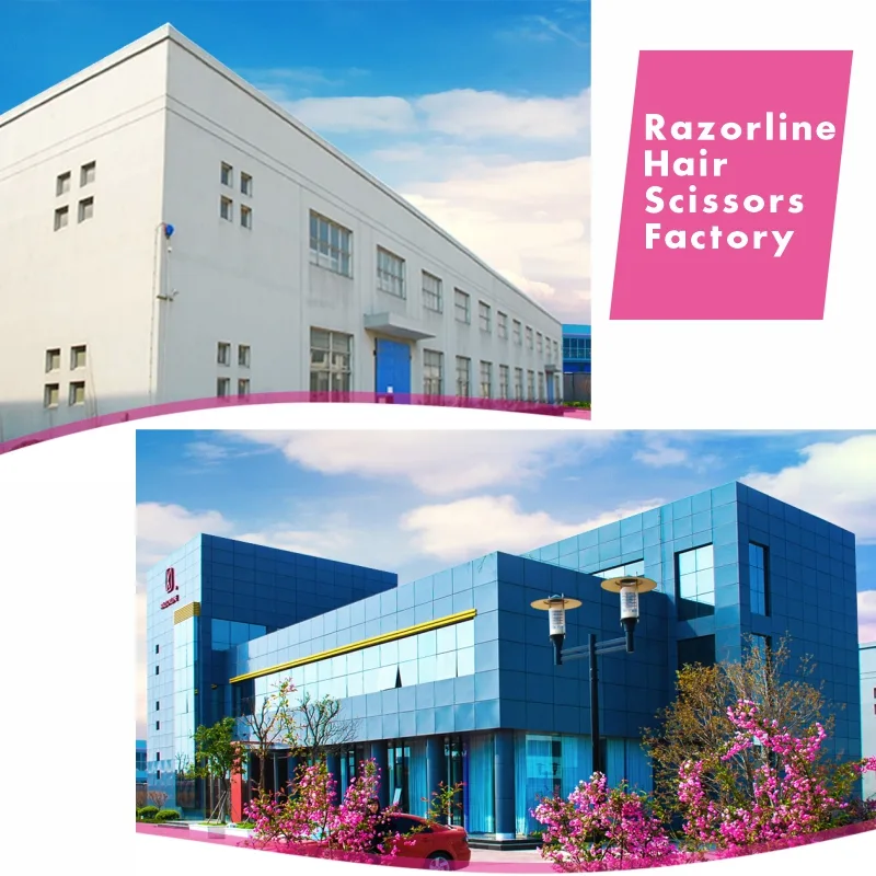 Hair Scissors Factory