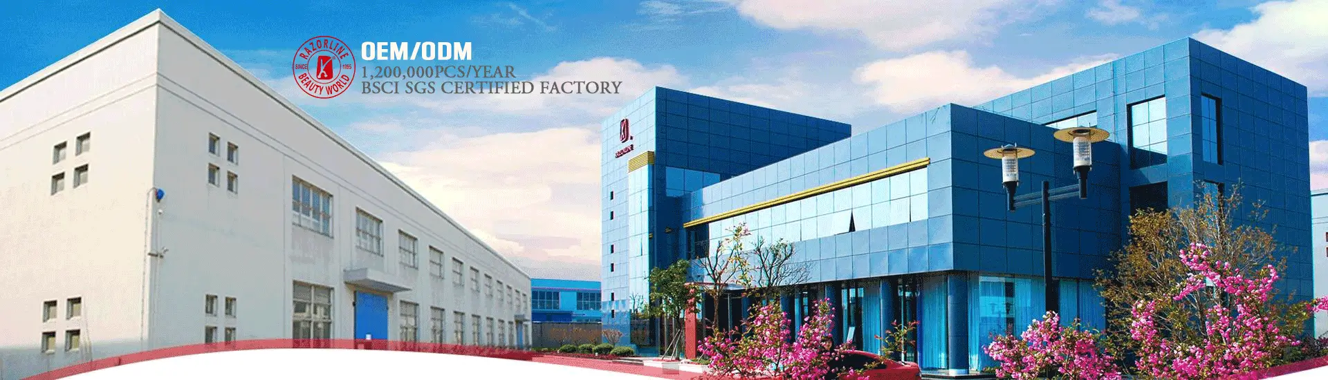 Professional Hair Scissors Manufacturing Factory - RAZORLINE BSCI & SGS Certified